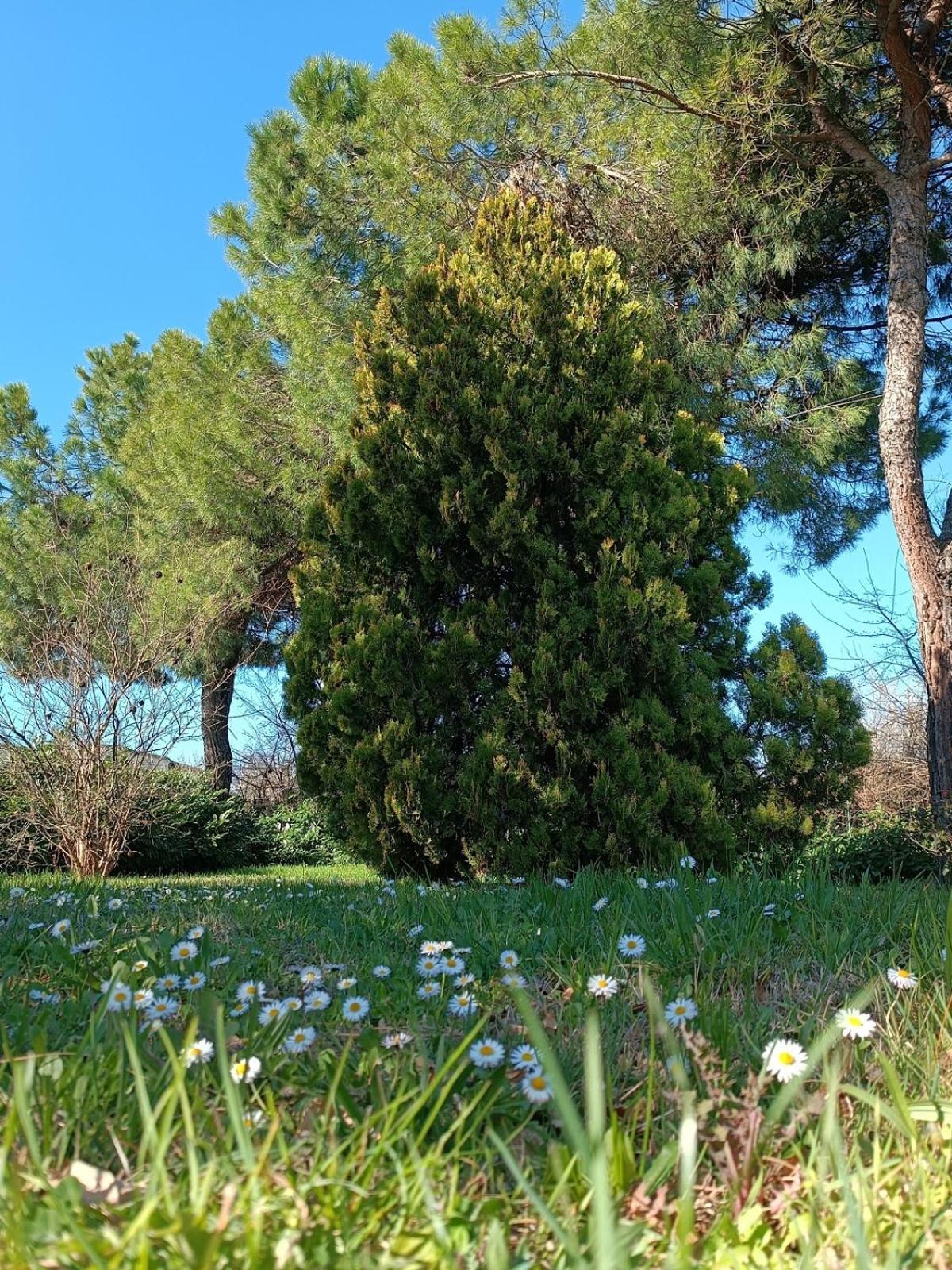 Santa Maria della Versa Capricornio Club Diffuso Casa Carlottaヴィラ エクステリア 写真
